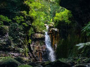 shutterstock_1631545009