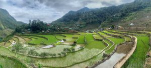 shutterstock_1662944560