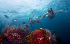 Couple,Snorkeling,Over,Coral,Reef